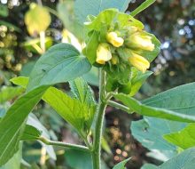 IMG_20260924_170009
