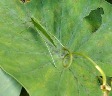 IMG_20260924_170220