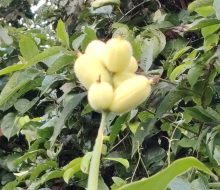 IMG_20260924_172116