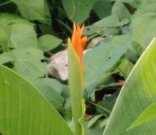 IMG_20260924_172137_1