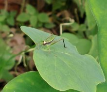IMG_20260924_173942