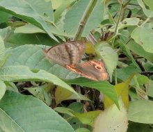 IMG_20260924_174702