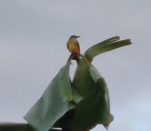 IMG_20260924_175132