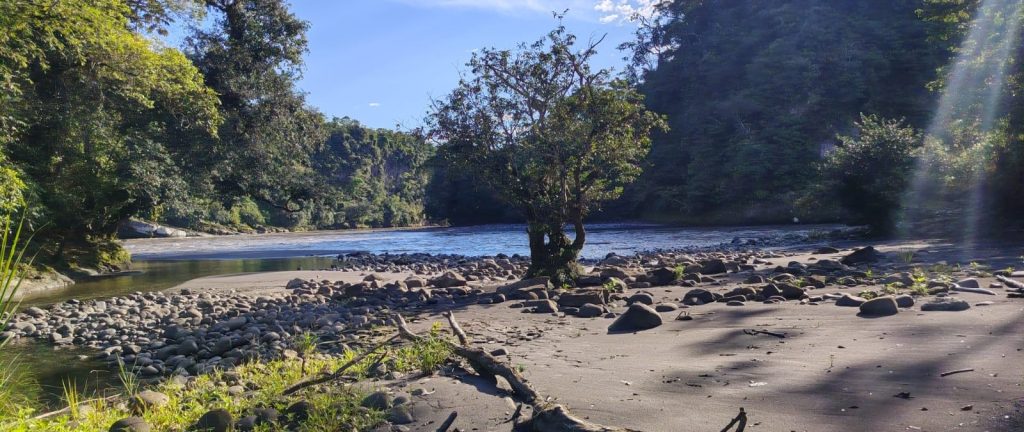 Natural Regeneration Monitoring · September 2026 Natural Regeneration Monitoring · September 2026